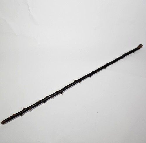 Antique irish blackthorn - irish,