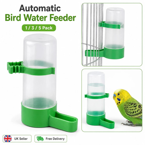 Bird water feeder - water,