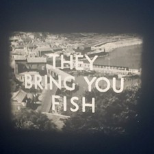 16mm Film  Document Ary They