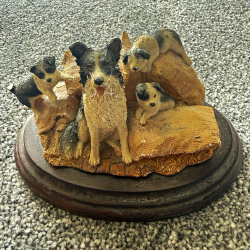 Country artists border collie - country,