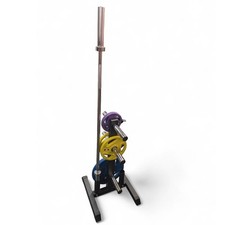 Small Weight Plate Tree & Bar