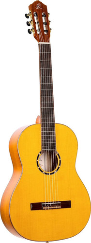 Family series pro - family, solid