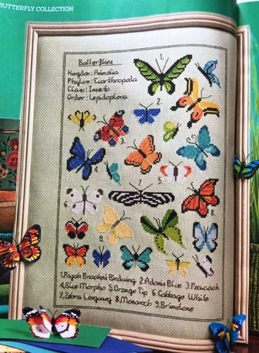 Butterfly sampler collection - butterfly,