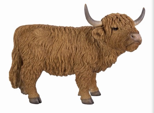 Vivid arts highland - arts, cattle