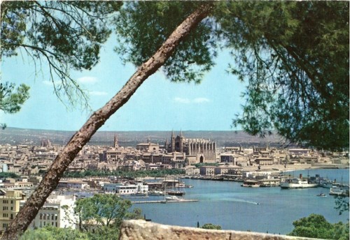 Palma panoramic view mallorca - view,