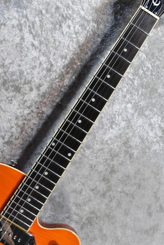 Epiphone wild kat electric - wild,