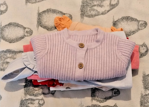 Baby girls clothing bundle - girls,