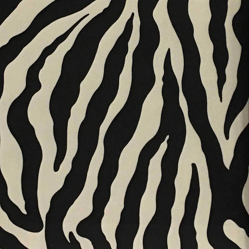 Safari zebra la - safari, zebra,
