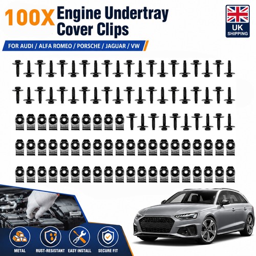 100x clips screw kit - clips,