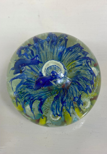 Marine themed glass - 🐟marine-themed,