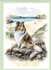 Shetland Sheepdog /Sheltie Dog