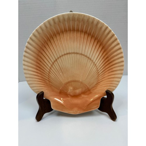 Vtg wedgwood nautilus - wedgwood,