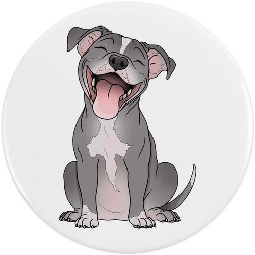 Happy pit bull - pit, terrier'