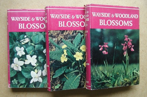 Wayside and woodland - wayside, blossoms