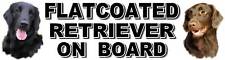 FLATCOATED RETRIEVER ON BOARD