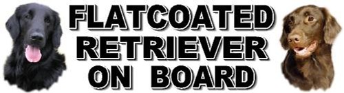Flatcoated retriever board - flatcoated,