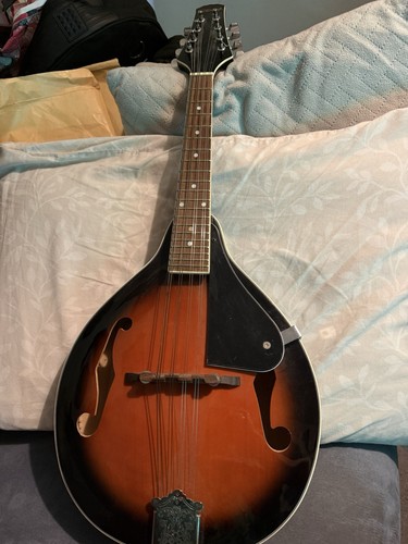 Stagg m20 bluegrass - m20,