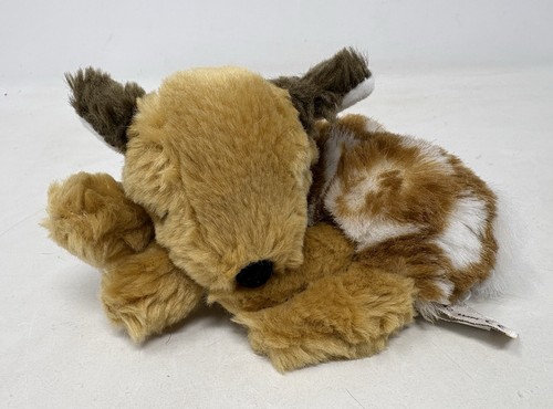 Baby deer fawn laying curled - deer,