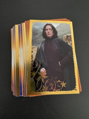 Panini harry potter year at - year,