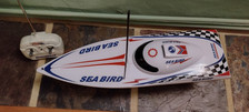 Radio Control White  Sea Bird