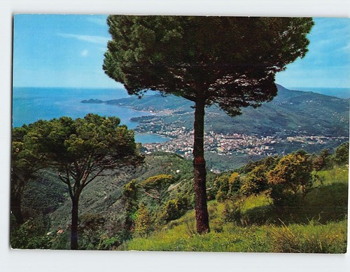 Postcard gulf tigullio - gulf,