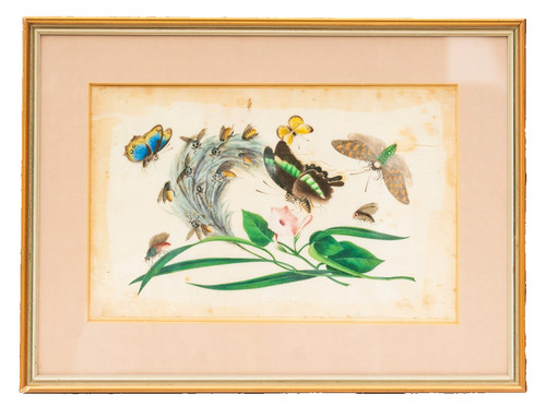 Chinese watercolor painting - chinese,