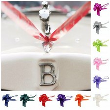 Wedding Car Decoration Kit 7