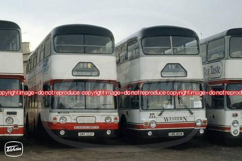 Bus photo western - bus,