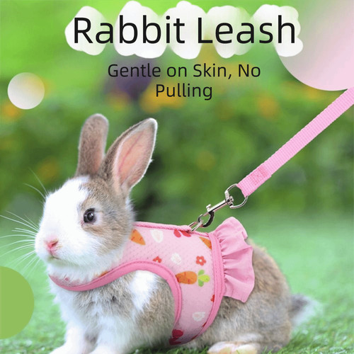 Adjustable small pet - small, harness