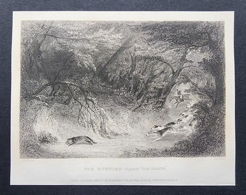 Antique 1841 print fox - 1841,
