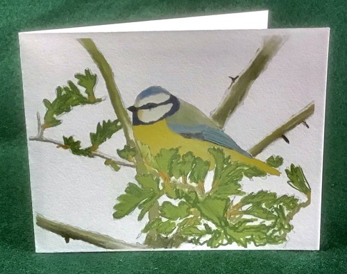 Misterbcards blue tit - blue,