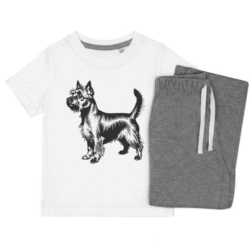 Silky terrier dog kids - 'silky,