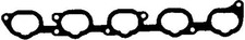 Intake manifold gasket 450208P