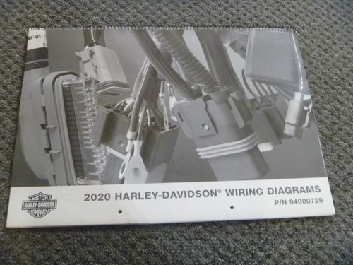2020 harley davidson street - 2020,