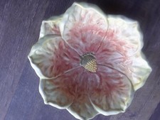 Fruit Bowl Sunflower Fluffy