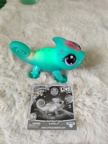Little live pet bright light - live,