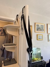 English Hunter (3 Point )