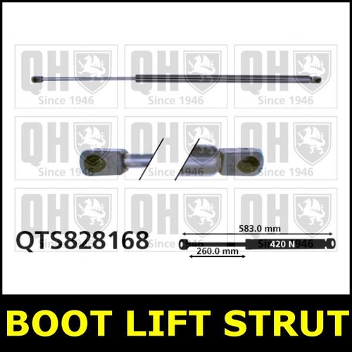 Boot gas strut - gas, tailgate