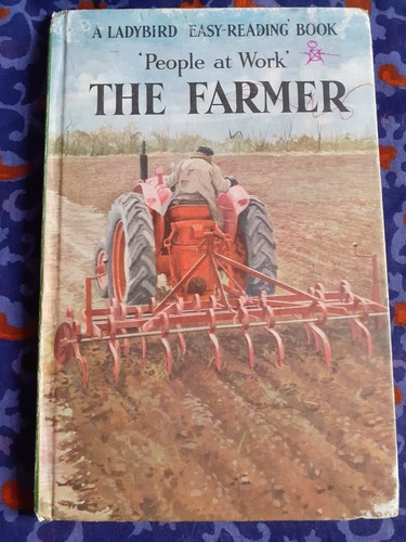 Vintage ladybird book - vintage,