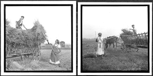 Ww2 original photos of - i/14, 2x