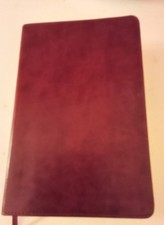 ESV Large Print Personal Size