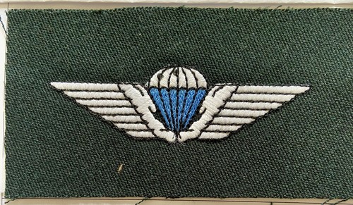 Danish parachute wing green - parachute, on