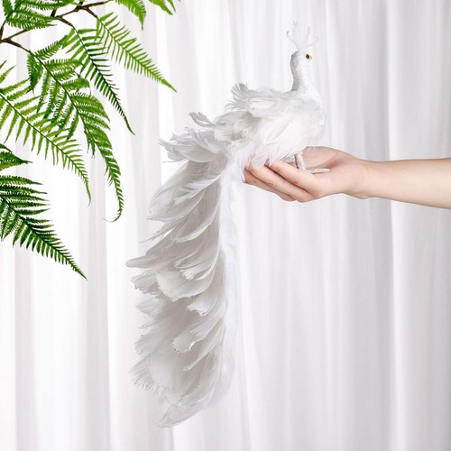 Peacock simulation bird - bird, garden