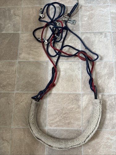 Full lunging pessoa - full,