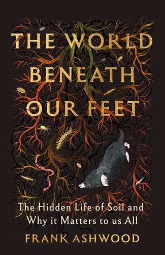 The world beneath our - beneath, by