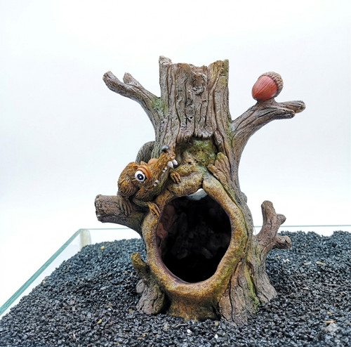 Aquarium acorn tree - acorn,