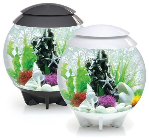Oase biorb 30l - 30l, halo