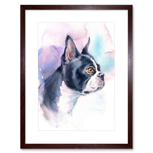 Dog boston terrier watercolour - terrier,