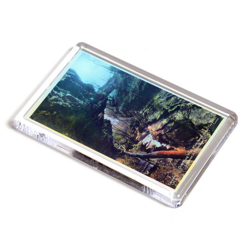 Fridge magnet vintage - magnet,