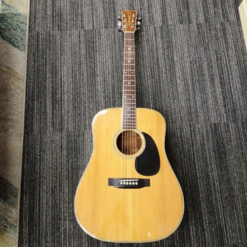 Morris special acoustic - w-50,
